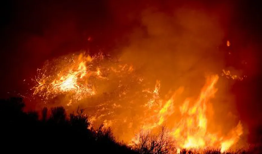 Incendiu devastator în Dolj: 1.000 de hectare distruse