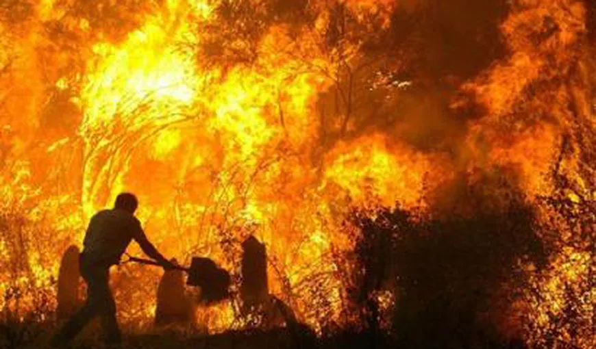 Două incendii de pădure au izbucnit pe Valea Doftanei