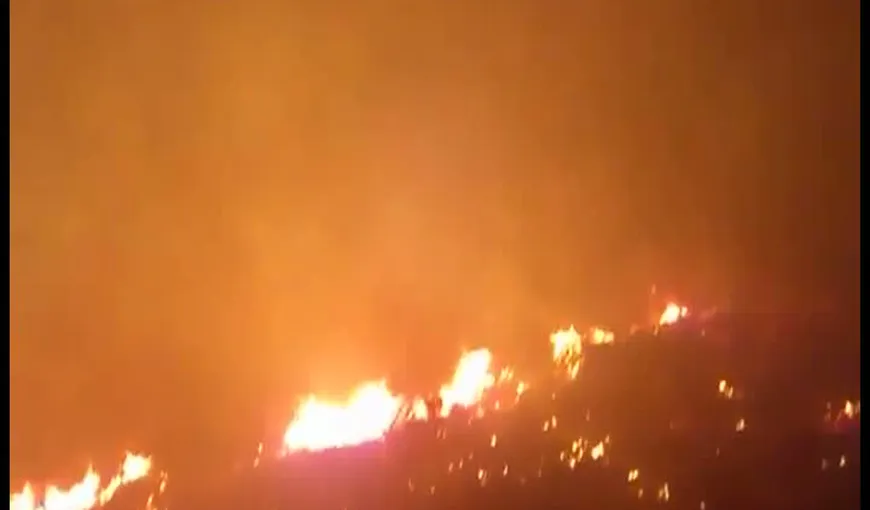 Pârjol în SUA: Un om a murit şi alţi 16 au fost răniţi în urma unui incendiu de pădure lângă Reno