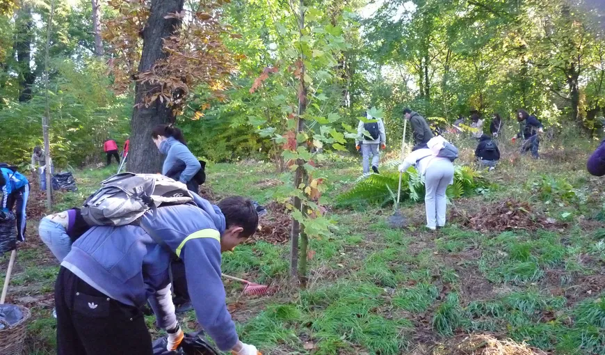 Aproape 300 de voluntari vor face curăţenie în Grădina Botanică din Bucureşti