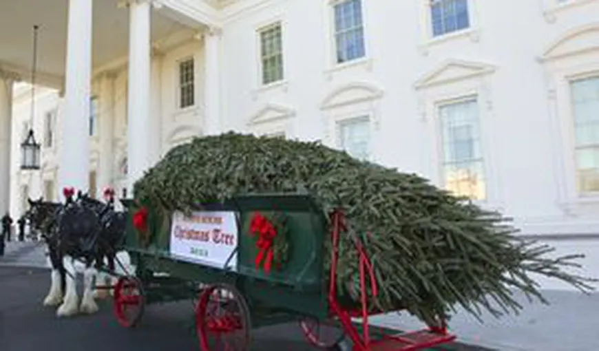 Familia Obama a primit pomul de Crăciun la Casa Albă