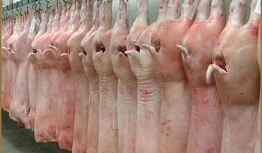 România va exporta din nou carne de porc, după opt ani