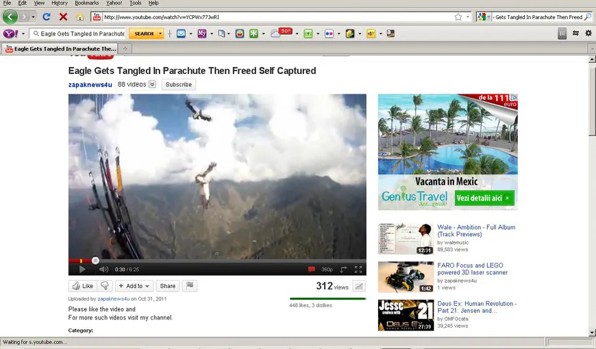 Un vultur cu parapanta. Video uluitor, din Himalaya VIDEO