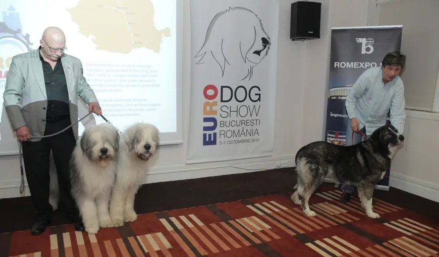 România, promovată de câini: Euro Dog Show 2012, cel mai mare eveniment internaţional din ţară FOTO