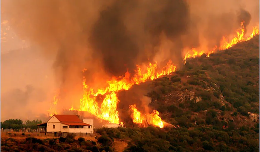Şoc diplomatic. Un fost premier turc recunoaşte că ţara sa a provocat incendii de pădure în Grecia