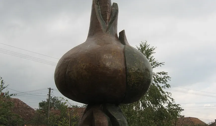 Ceapa de Pericei, prima legumă ecologică românească