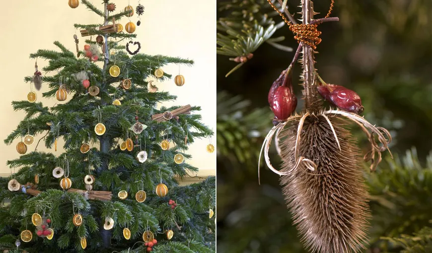 Top 5 decoraţiuni de Crăciun, ecologice şi ieftine FOTO
