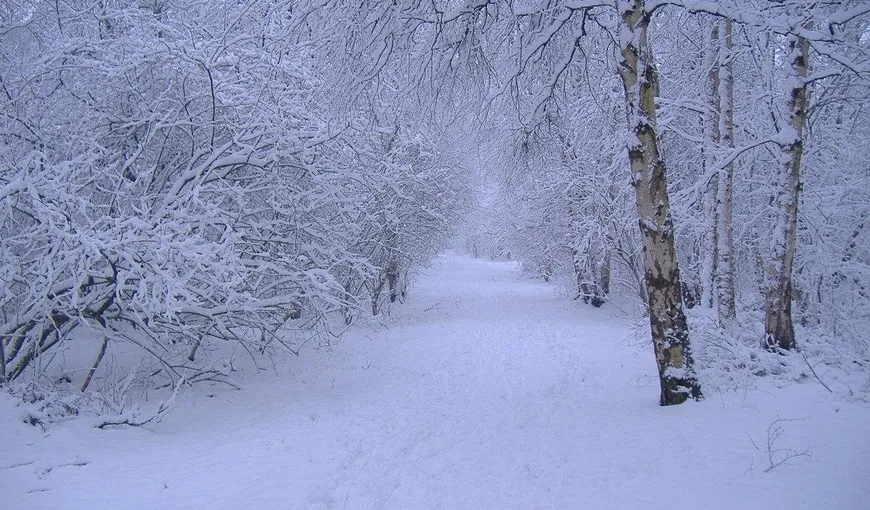 Sâmbătă noapte a nins abundent pe Valea Prahovei. Cum va fi vremea de Sărbători