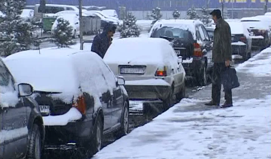 Ninge abundent în Suceava VIDEO
