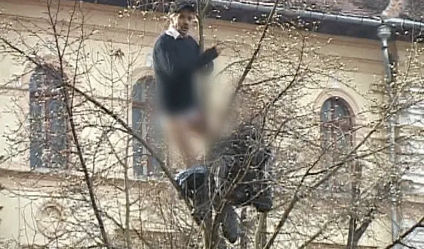 VIDEO Un bărbat din Braşov a rămas fără pantaloni în timp ce protesta într-un copac