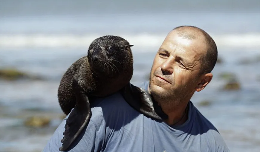 Un pui de leu de mare orfan, adoptat de localnicii din Uruguay FOTO