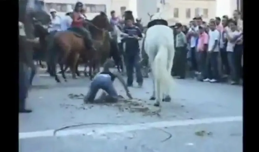 De râsul… cailor! Un armăsar trânteşte o blondă în balegă VIDEO