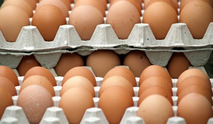 Ouă de categoria 3 din Polonia, marcate fals cu 0, 1 sau 2 şi vândute în hipermarketuri din România