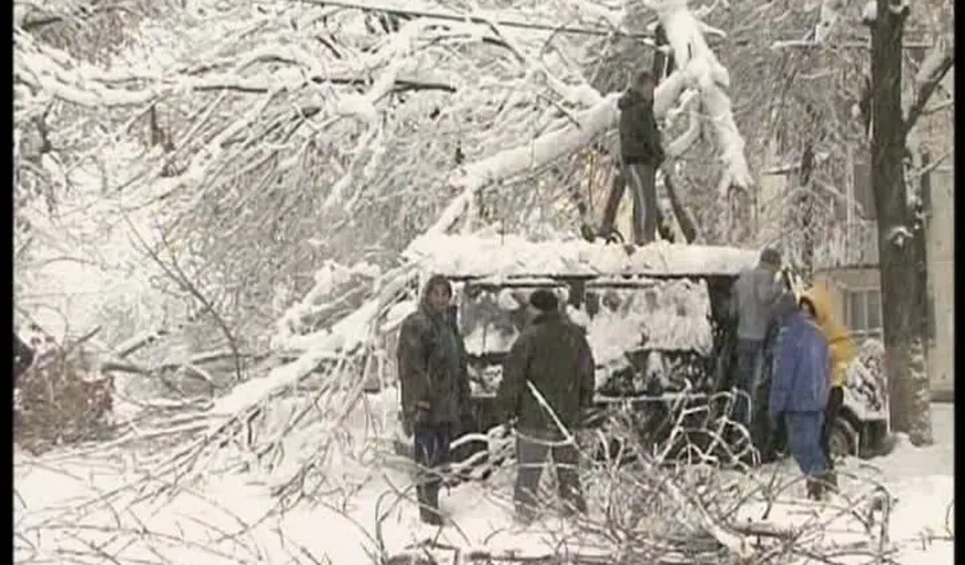 În Craiova, zeci de maşini au fost avariate din cauza copacilor doborâţi de viscol