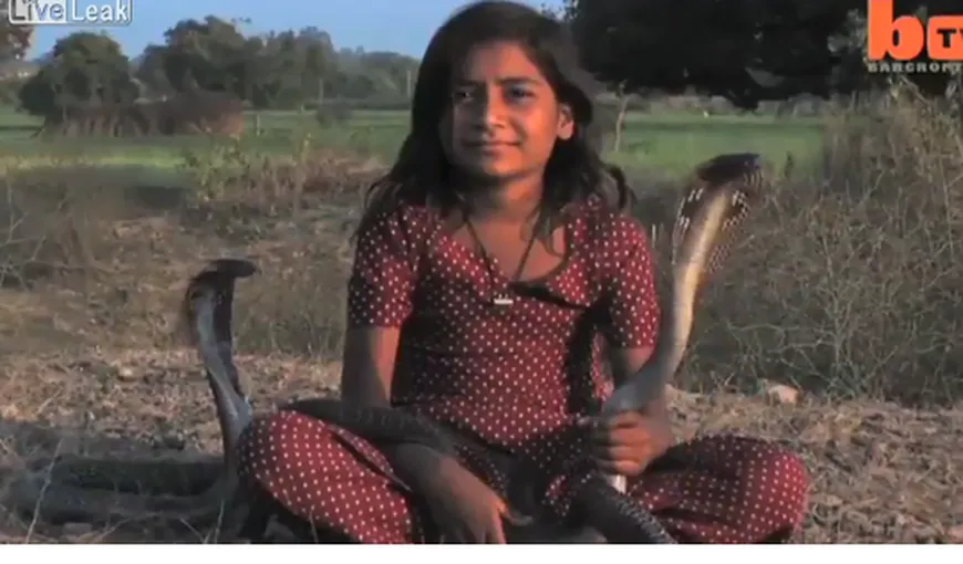 O fetiţă de 8 ani se joacă cu şerpii. Cobrele o „alintă” cu muşcături VIDEO
