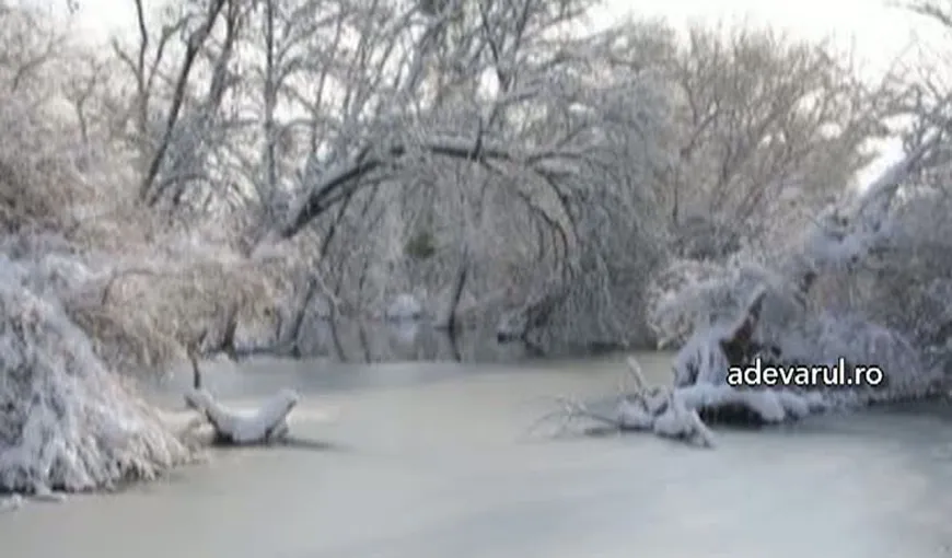 Feerie de gheaţă în Delta Dunării VIDEO