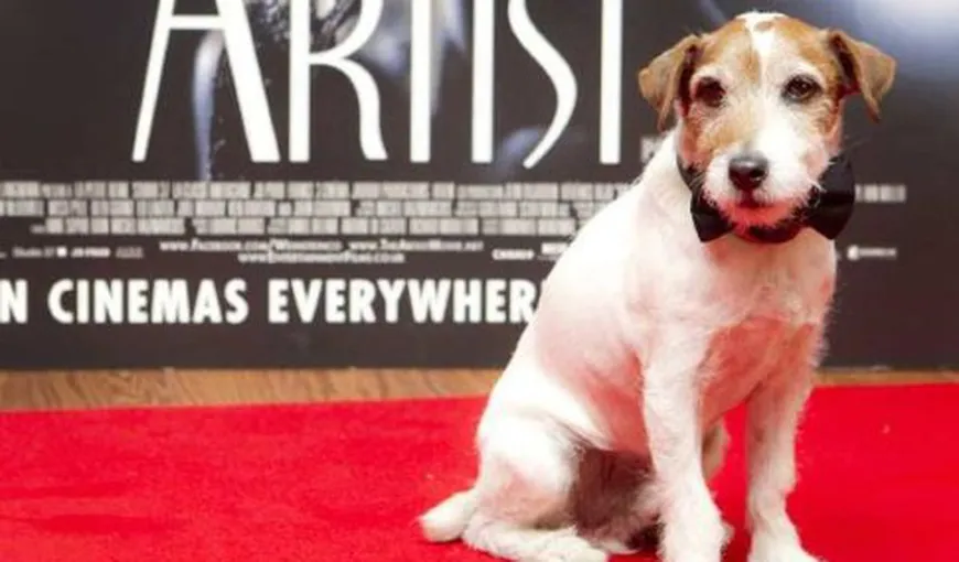 Câinele Uggie, din filmul „The Artist”, îşi lansează „autobiografia”