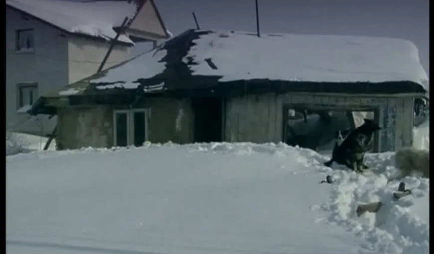 Caz cutremurător în Vrancea: o familie cu 7 copii trăieşte în condiţii mizere VIDEO