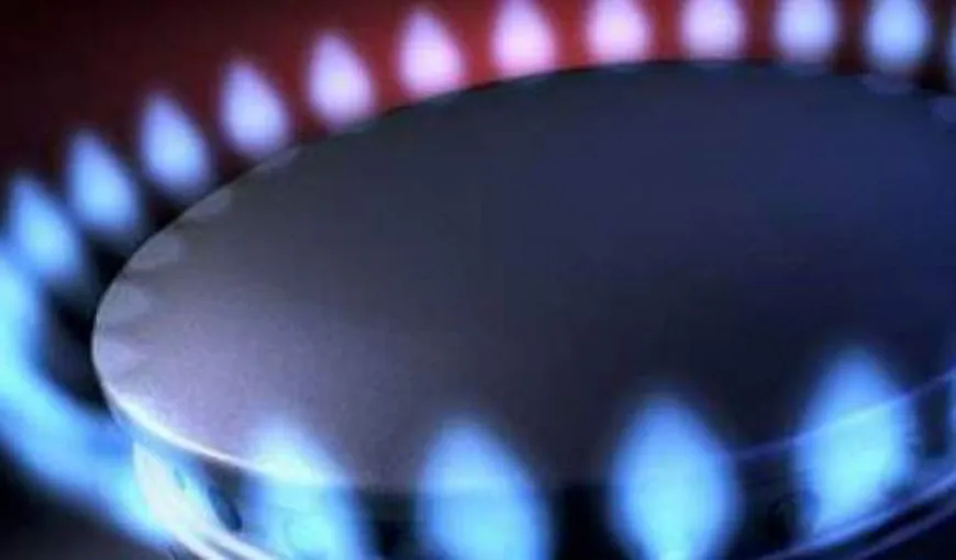 Rusia a redus cu 10% preţul la gaze pentru unii consumatori europeni