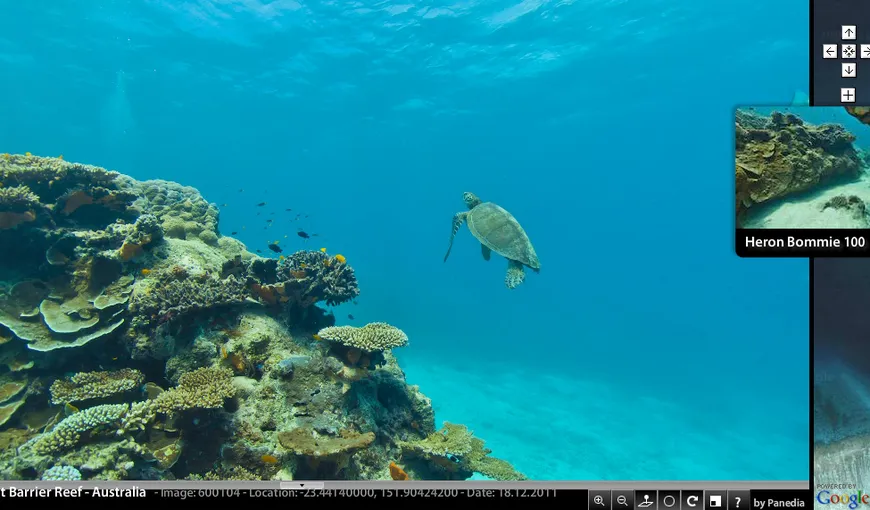 Google Sea View: Vom putea „înota” virtual prin Marea Barieră de Corali