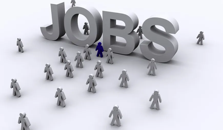 Peste 6.000 locuri de muncă vacante la nivel naţional. Vezi posturi disponibile