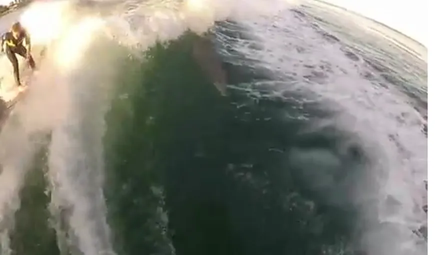Un tânăr a făcut surf împreună cu doi delfini VIDEO