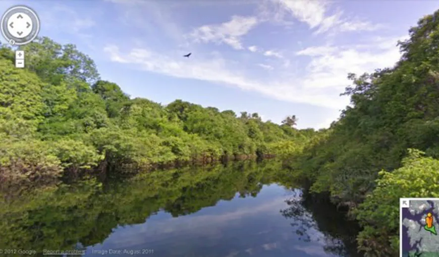 Google a lansat „Street View” în jungla Amazonului VIDEO