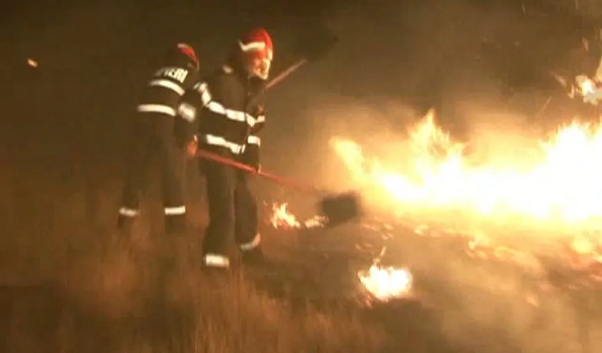 Rezervaţia Deltei Dunării, în flăcări. Incendiu, stins după aproape nouă ore VIDEO