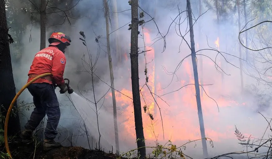 Intervenţie a pompierilor pentru stingerea unui incendiu izbucnit în Munţii Şureanu