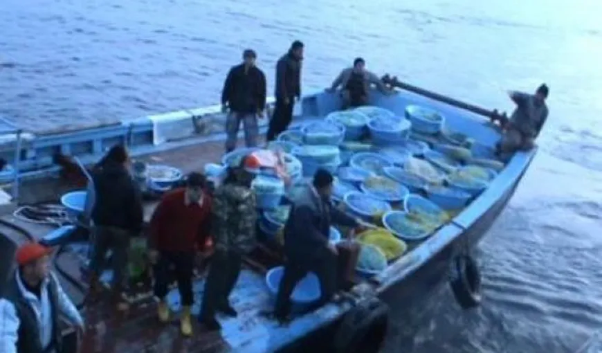 Pescador românesc cu marinari turci la bord, prins la braconat de calcan în zona Gura Portiţei