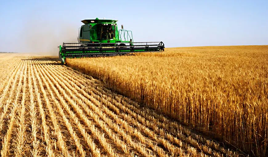 Financial Times: Agricultura românească are performanţe mult inferioare potenţialului său