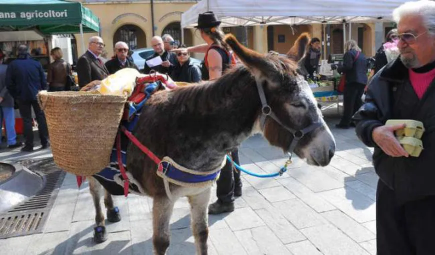 Măgarii taximetrişti, un nou transport public în Italia FOTO