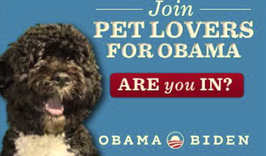 Şi câinele Bo îl ajută pe Obama în campania electorală