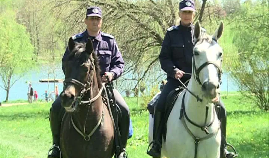 Caii jandarmilor fac furori în parcurile bucureştene VIDEO
