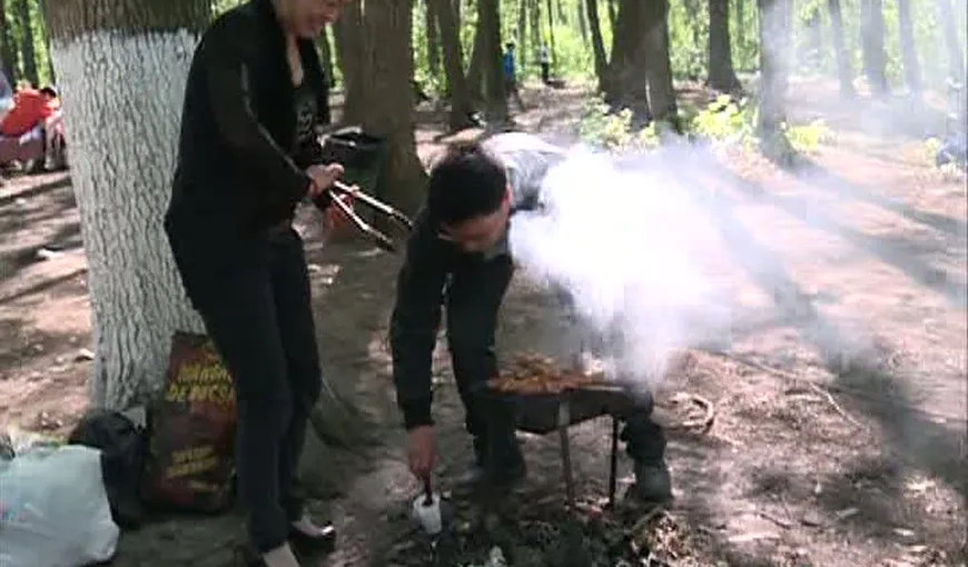 Chinezii din Bucureşti au încins grătarele la pădure VIDEO