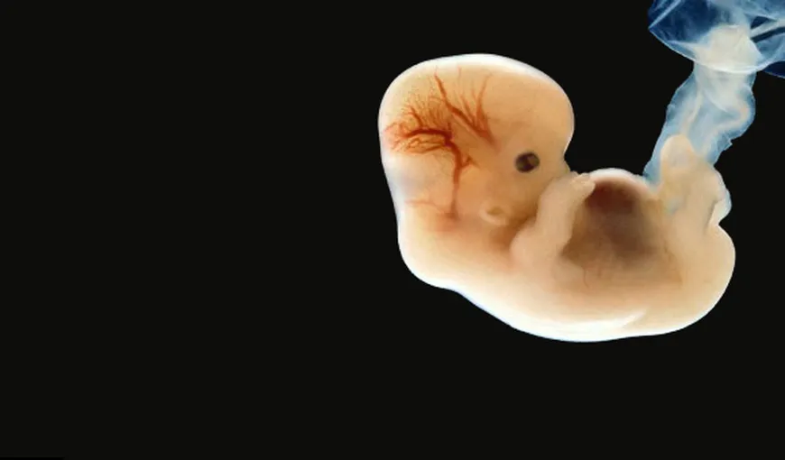 Ce este avortul spontan? Află dacă te afli în pericol