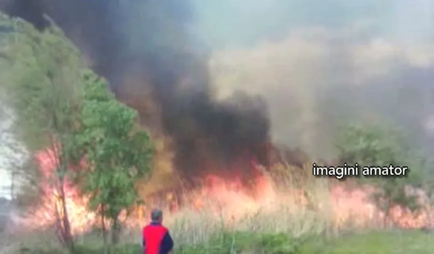 Incendiu puternic lângă Capitală. Au ars 4.000 de metri pătraţi de stufăriş VIDEO