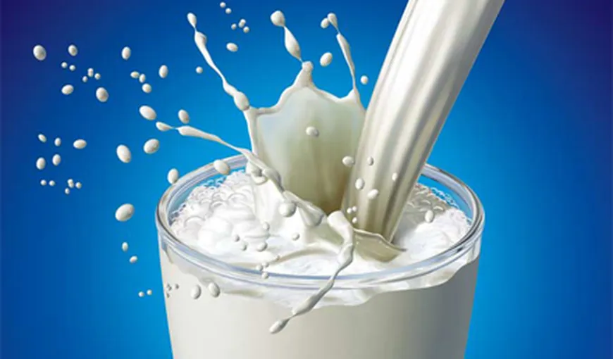 Laptele contrafăcut, subiect pe masa Guvernului