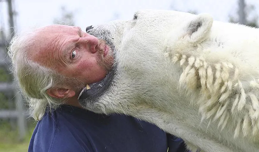 Prietenie incredibilă dintre un canadian şi un urs polar VIDEO