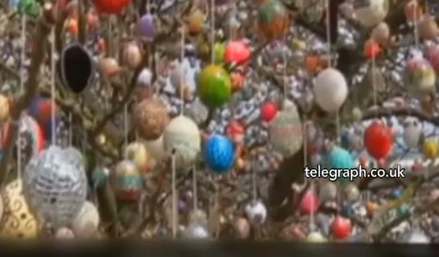 Un neamţ şi-a ornat copacul din curte cu 10.000 de ouă de Paşte VIDEO