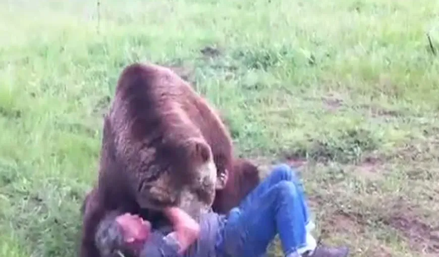 Momente de tandreţe între un urs iubăreţ şi părintele său adoptiv VIDEO