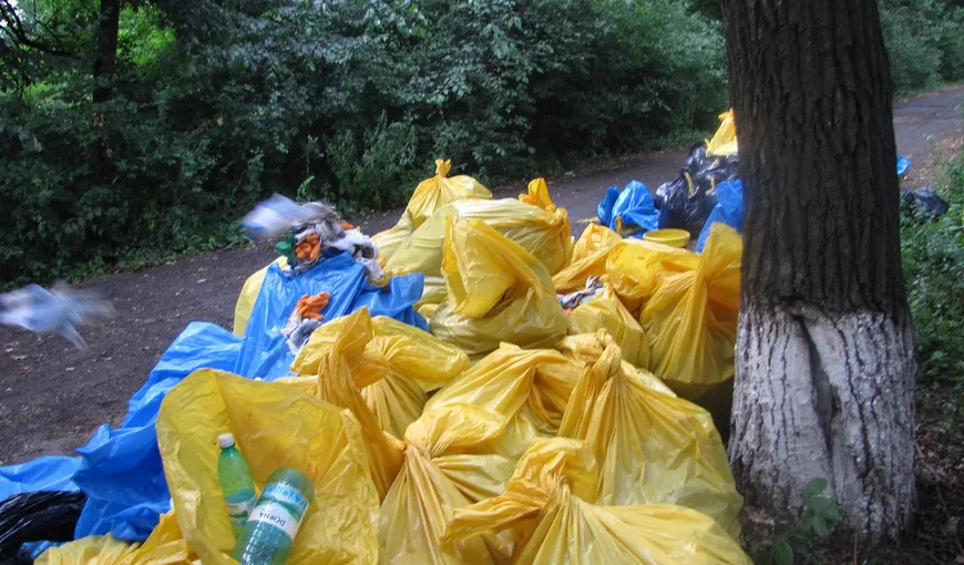 Peste 700 de deţinuţi, voluntari eco, în cadrul campaniei de curăţenie „Let’s do it, Romania!”