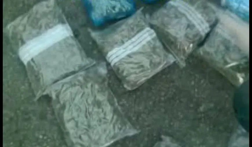DIICOT a capturat 4,5 kilograme de canabis ce urmau să ajungă la Bucureşti