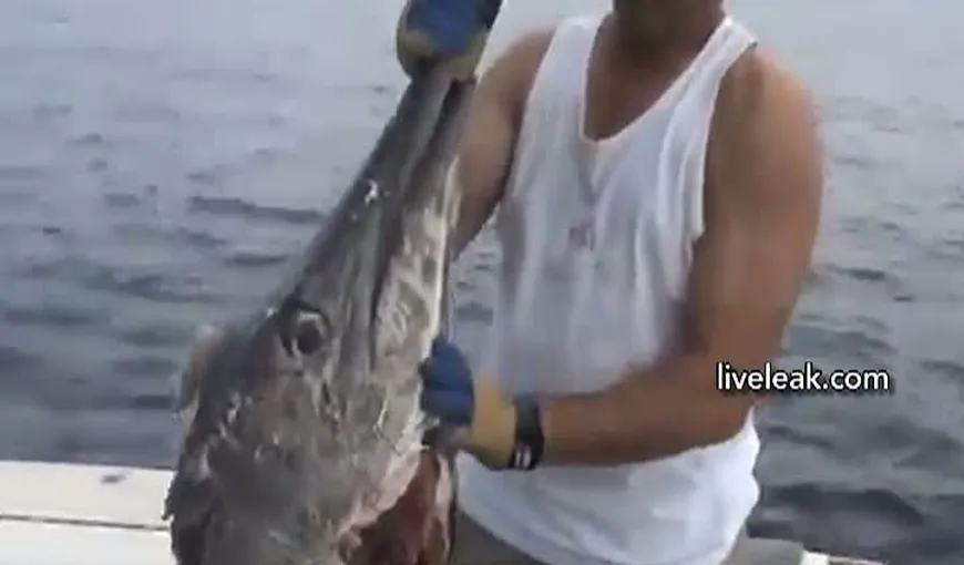 Captură SURPRIZĂ pentru pescari: Au prins un MONSTRU în loc de peşte VIDEO
