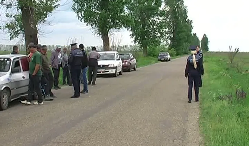 Scandal la Buzău. Sătenii din două localităţi se ceartă pe plopii de la marginea drumului