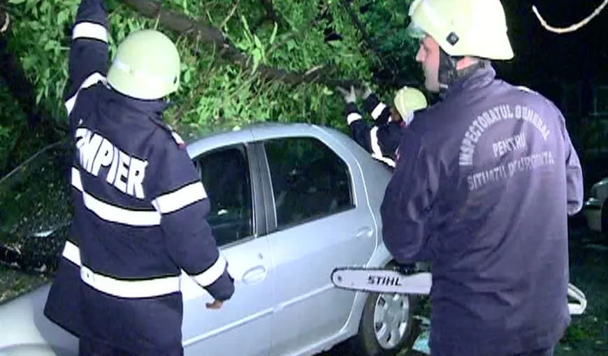 Maşini distruse de un copac căzut pe Bulevardul Timişoara, din Capitală VIDEO