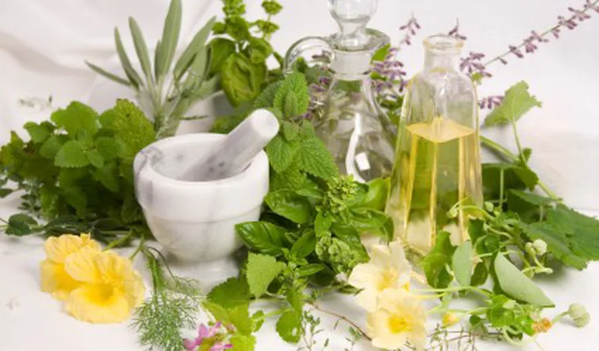 Cinci ierburi şi mirodenii care ne îmbunătăţesc sistemul imunitar