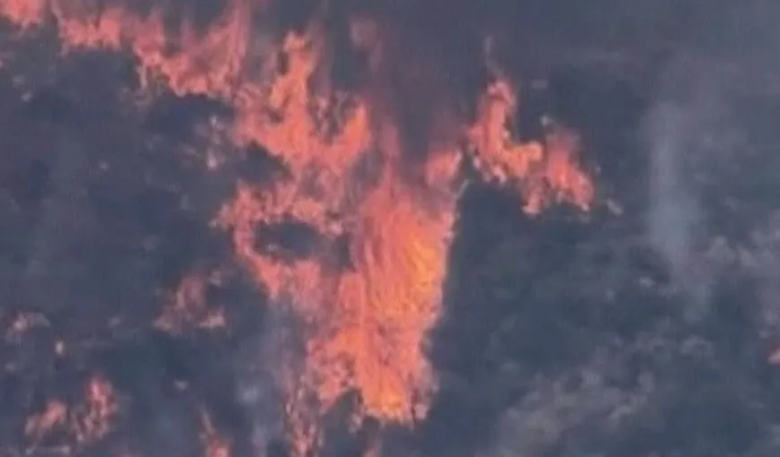 Incendiu devastator în Arizona. 1.000 de hectare de vegetaţie, distruse VIDEO