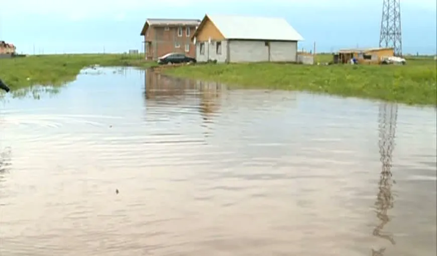 Cinci mii de hectare au fost calamitate până acum în urma ploilor