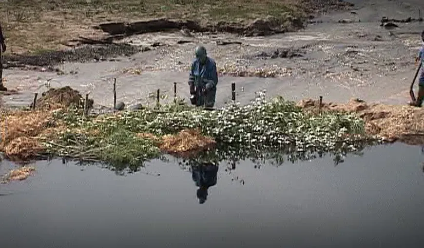 Poluare cu petrol pe râul Cotmeana, Argeş. Pata de petrol se întinde pe 15 kilometri VIDEO
